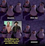 FB_IMG_1722702522474.jpg