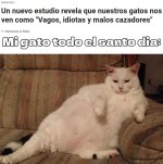 Mi gato to el dia ,ser como prros.jpg