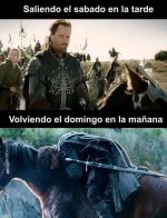 Soy aragorn ,prros.jpg