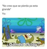Xq Rayos ,prros.jpg