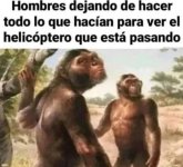 Er titulo tb fue a ver al helicoptero ,prros.jpg
