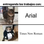 Entrega d trabajos ver gatos v 1.1.7 prros.jpg