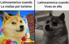 LATAM ,turismo x vivir ,ser como prros.jpg