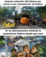 xd prros.jpg