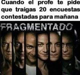 c x v 1.2.3 prros.jpg