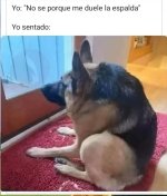 yo sentado xdxdxd.jpg