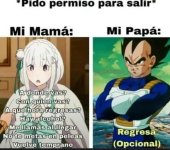 pedir permiso x salir x v 1.1.7.jpg