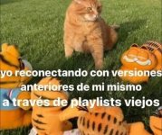 yo reconectando con mis versiones anteriores... x v 1.1.7 prros.jpg