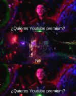 No ,prros.jpg