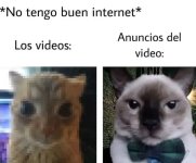 no tengo buen internet ,ser como prros.jpg