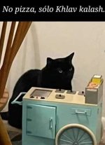 Gato de Klav Kalash ,prros.jpg