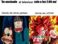 Volvio la luz prros.jpg