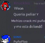 Puñofloo.png