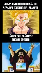 Todos somos necesarios ,prros.jpg