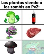 Ci prros x plantas viendo a los zombies en PvZ ser como prros.jpg