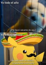 Viva mexico prros.jpg
