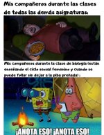 Anota eso completo original mob s marca.jpeg