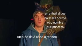 El meme del pitbull llamado princesa está quemadisimo ,prros.jpg