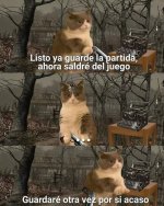 el hombre precavido ,siempre guarda 2 veces x las dudas..prros.jpg