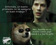 ni modo prros x contactos ,ser como prros.jpg