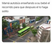 Aww...q ternurita prros.jpg