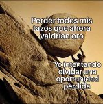 Ci prros x es lo tipico q las madres tiran a la basura ,prros.jpg