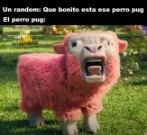 El perro pug.jpg