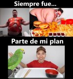 parte d mi plan.jpg