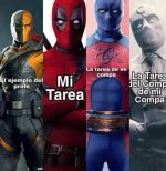 haciendo la tarea c los compas prros.jpg