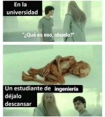 pobresillo ,prros.jpg