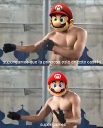 supongamos prros.jpeg