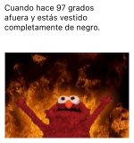 ardiendo en el verano ,ser como prros.jpg