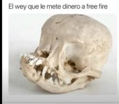 sin titulo x el wey q le metio dinero al free fire prros.jpg