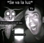 c va la luz 1n insecto y la luz d mi linterna ,ser como v 1.2.4 prros.jpg