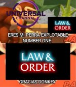 Universal channel parece no tener otra cosa q pasar prros.jpg