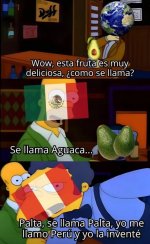 aguacate o palta x v 1.2.4 prros.jpg