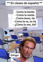 gringos en clases de español ,ser como v 1.1.4 prros.jpg
