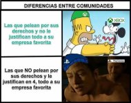 xd prros.jpg