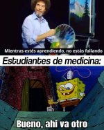 N c prros x aprender significa.....jpg