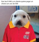 Ci pasa ver Mexico lore prros.jpg