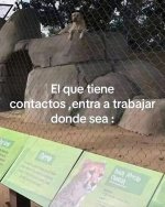 el que tiene contactos x v 1.1.4 prros.jpg