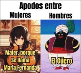 Apodos v Anime prros .jpg