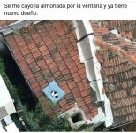 almohada por la ventana y ya tiene dueño.jpeg
