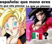 No prros.jpg