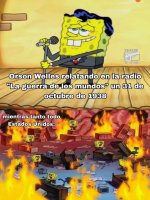 Mientras tanto todo EE.UU. prros.jpg
