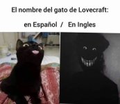 name del gato xdxdxd.jpg