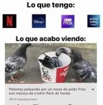 lo q acabo viendo xdxdxd.jpg