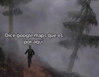 c google maps ,llego seguro prros.jpg