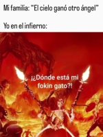 Donde esta mi gato diablos ,prros.jpg