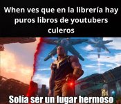solia ser hermoso ,prros.jpg